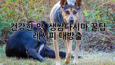 건강한 맛! 🌱 생쌈다시마 꿀팁 & 레시피 대방출 😋