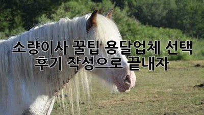 📦 소량이사 꿀팁🍯 용달업체 선택, 후기 작성으로 끝내자! ✨